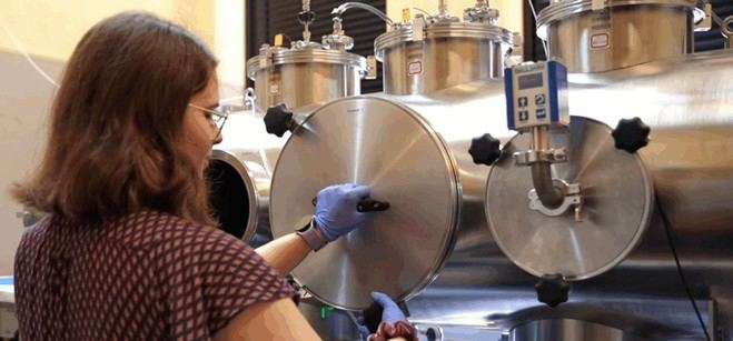 Investigadores analizan el impacto del agua en interruptores moleculares usando micro-ondas