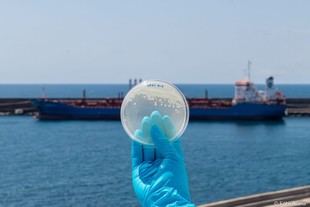 CIIMAR lanza una plataforma digital para biobancos marinos en Portugal