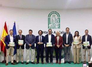 Cinco empresas gaditanas finalistas en los XIII Premios Emprendemos por su innovación