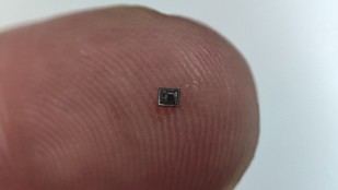 Cinco spin-offs del CSIC obtienen financiación Neotec para proyectos innovadores