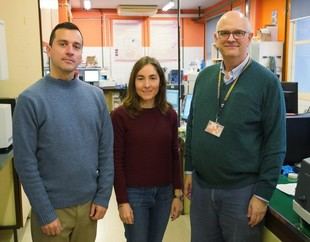 Cinco estructuras cristalinas se autoensamblan en un solo polímero por primera vez