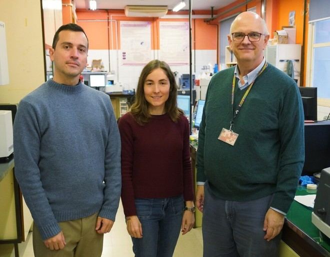 Cinco estructuras cristalinas se autoensamblan en un solo polímero por primera vez