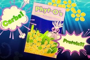 El cambio climático podría transformar el fitoplancton en una "comida rápida" marina