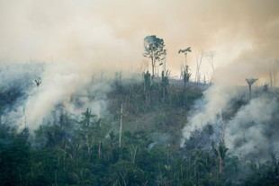 Las políticas climáticas se refuerzan globalmente a pesar de la oposición en EE. UU. y Europa