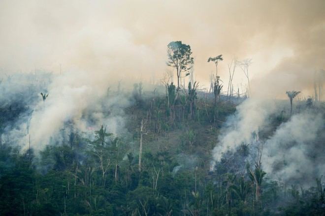 Las políticas climáticas se refuerzan globalmente a pesar de la oposición en EE. UU. y Europa