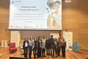 Culmina el proyecto Hidroponent de la Universitat de Lleida tras dos años de investigación