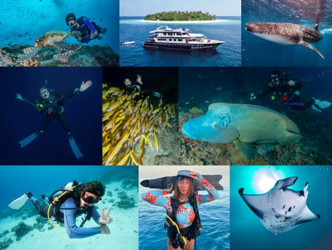Nuevas tendencias en turismo de buceo: Scuba Finders amplía su oferta con viajes organizados a 27 países