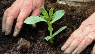 Ganar en productividad con agroecología es posible
