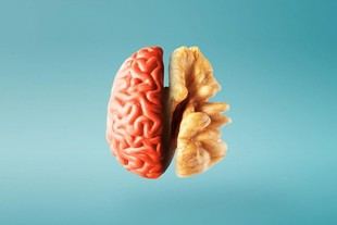 El impacto de los frutos secos en la salud cerebral