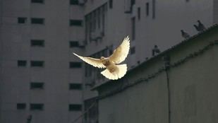 CRUE condena ataques a instituciones educativas en conflictos armados