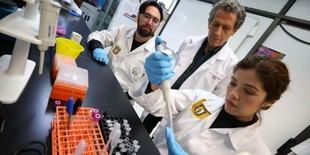 IPN logra avances en regeneración de huesos y tejidos con células madre