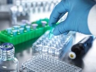 Investigación sobre la conexión entre el corazón y el cerebro en un nuevo programa de doctorado