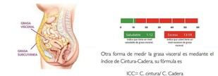 La salud se evalúa más allá del peso corporal y la báscula