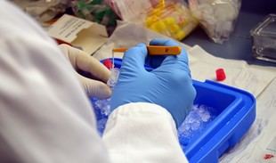 Ayudas de 5 millones para proyectos de I+D en Andalucía