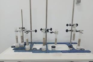 CTC desarrolla nanotecnología para mejorar la nutrición de cultivos