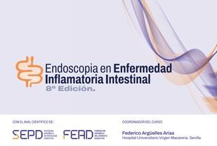 Curso de la SEPD para mejorar el diagnóstico endoscópico de la EII