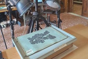 Nuevos hallazgos sobre Zenón, fundador del estoicismo, a partir de papirus carbonizados