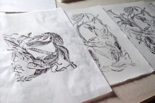 Proyecto digital sobre las tablas xilográficas de Ulisse Aldrovandi