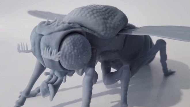 Innovadora herramienta 3D facilita estudio de la mosca de la fruta