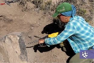 Vaca Muerta: historia geológica detrás de la energía moderna