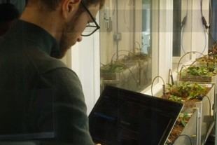 FresQia: Innovador sistema para detectar enfermedades foliares en cultivos