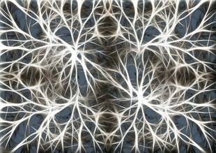 Nuevo método mejora la identificación de neuronas equivalentes entre cerebros diferentes