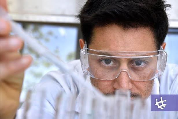 Desarrollan sensor para reducir desperdicio de cítricos por pesticidas