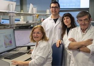 Desarrollan DANEELpath, una herramienta innovadora para analizar tumores infantiles en 3D