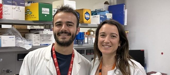Estudio revela el impacto de mutaciones en genes esenciales para la reparación del ADN