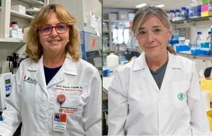Avance en la regeneración de células que producen insulina
