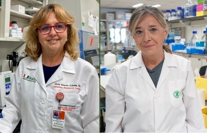 Avance en la regeneración de células que producen insulina