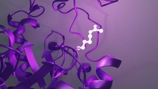 Nuevos hallazgos sobre la regulación metabólica en el cáncer