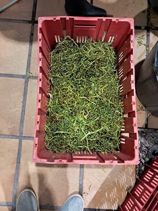 Desarrollan un filtro sostenible para eliminar antibióticos del agua hospitalaria