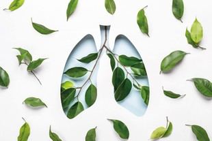 La UFV se une al Día Mundial Sin Tabaco 2025 para combatir la seducción del tabaco