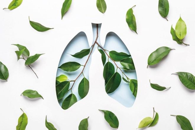 La UFV se une al Día Mundial Sin Tabaco 2025 para combatir la seducción del tabaco