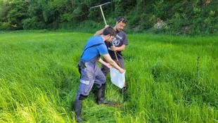 Desarrollan un sistema sostenible para la gestión de purines y residuos agroindustriales