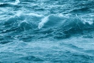 Éxito en la Jornada de Ciencias, Tierra y Sociedad sobre los Océanos