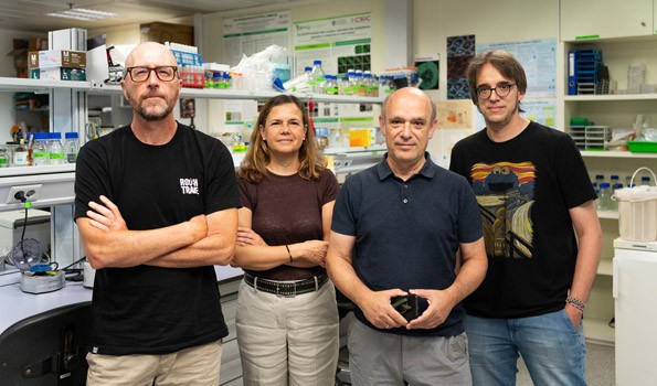 Las plantas detienen su crecimiento en sequía para proteger su ADN, según un estudio del CSIC