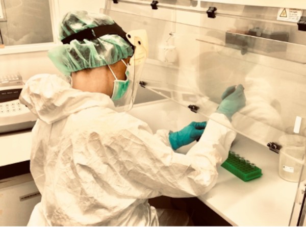 Investigación revela parodontitis en poblaciones etruscas y sannitas de la Italia prerromana