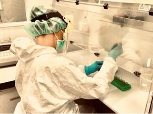 Investigación revela parodontitis en poblaciones etruscas y sannitas de la Italia prerromana