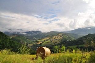 Estudio revela desafíos y tendencias de la juventud rural en Europa