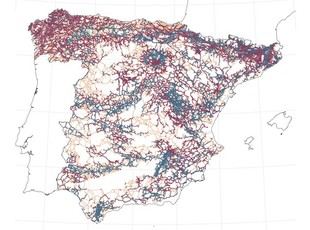 Red de conservación para adaptar bosques españoles al cambio climático