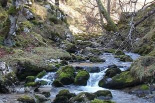 Profesores de la UdL crean guía para evaluar ecosistemas fluviales en la UE