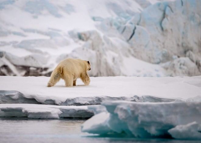 Colt y Arctic Arts: Unidos por la conciencia climática y la acción colectiva