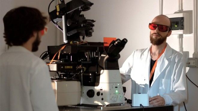 El Politécnico de Milán recibe dos ERC Starting Grants por 3 millones de euros