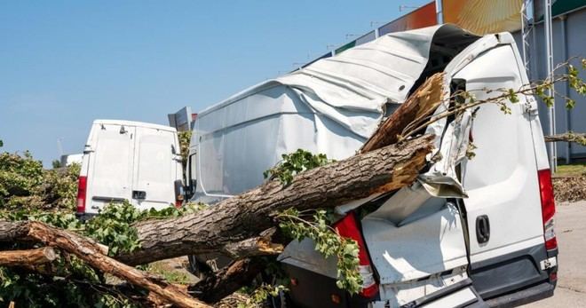 EIOPA destaca avances en la inclusión de riesgos climáticos en evaluaciones de aseguradoras