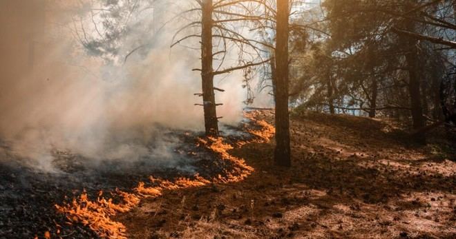EIOPA respalda la declaración del NGFS sobre el costo económico de la inacción climática