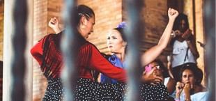 Curso de verano sobre gitanos y flamenco en el Alcázar de Jerez