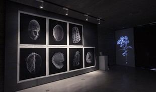 C3A lanza ayudas de hasta 7.000 euros para residencias artísticas en 2025-26