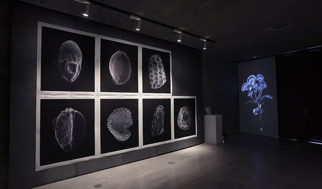 C3A lanza ayudas de hasta 7.000 euros para residencias artísticas en 2025-26